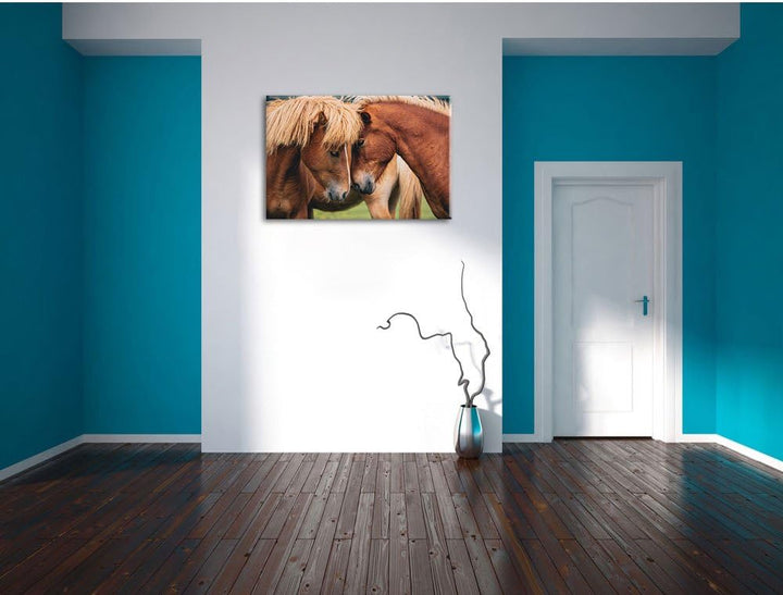 zwei schmusende Pferde, Format: 100x70 auf Leinwand, XXL riesige Bilder fertig gerahmt mit Keilrahme