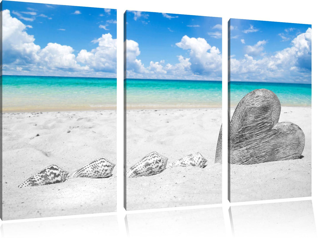 Pixxprint Sandstrand mit Muscheln als Leinwandbild/Grösse: 3 Teilig (120x80) cm/Wandbild/Kunstdruck/