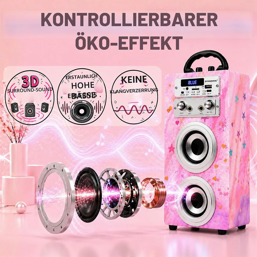 DYNASONIC Karaoke mit 2 Mikrofonen, tragbarer Karaoke-Maschine, Bluetooth-Lautsprecher, USB- und SD-