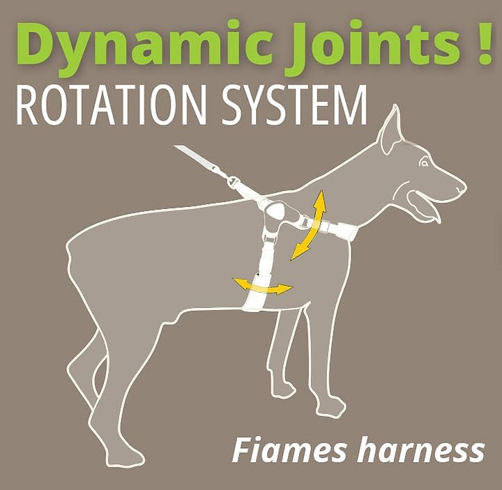 Coralpina Fiames Hundegeschirr für Hunde, verstellbar, dynamische Bewegung, bequem, reflektierend, G