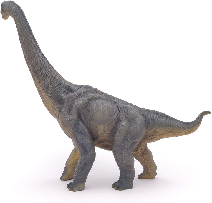 PAPO 55030 Dinosaurier, Brachiosaurus Figur, Mehrfarben Brachiosaurus die Dinosaurier Figur, Mehrfar
