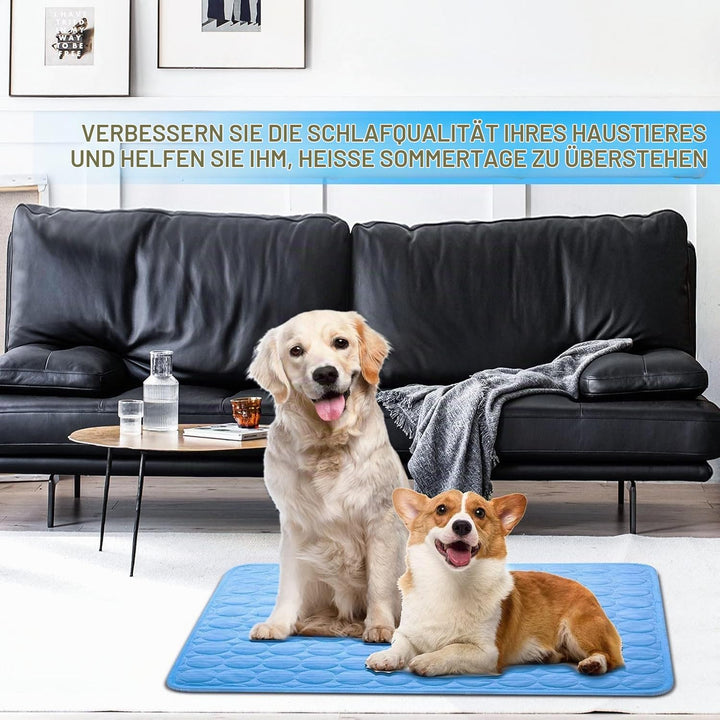 Kühlmatte Hunde, 70×55 cm Pet Cooling Mat, Kühldecke für Tiere, Abwischbar, Robust, Kühlmatte für Hu