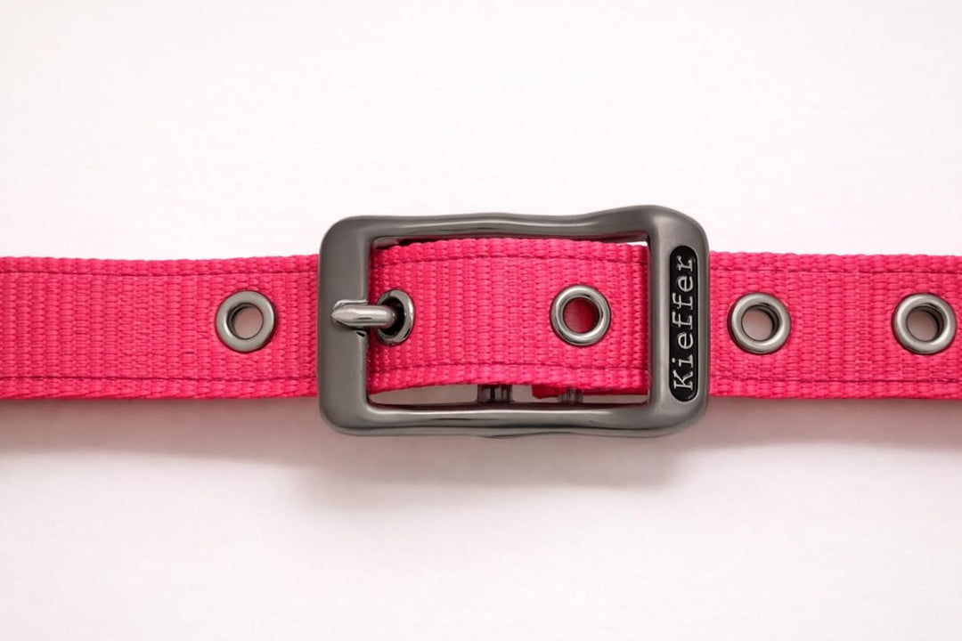 Reinecke Equestrian Premium Leuchthalfter Reflexhalfter Sicherheitshalfter Stallhalfter Weidehalfter