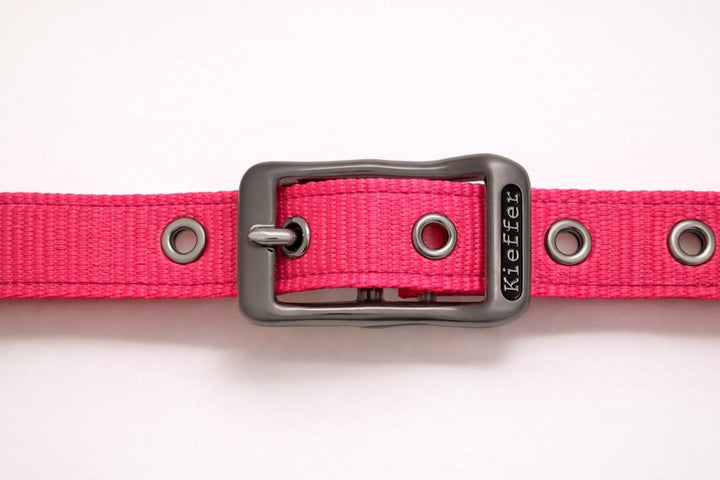 Reinecke Equestrian Premium Leuchthalfter Reflexhalfter Sicherheitshalfter Stallhalfter Weidehalfter