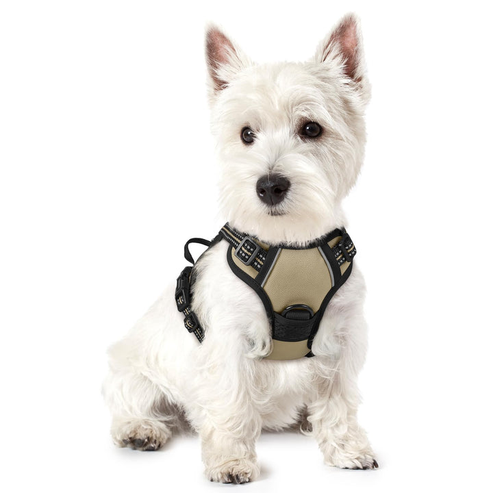 rabbitgoo Hundegeschirr Kleine Hunde, Anti Zug Geschirr mit Kontrolle, No Pull Verstellbar Hundegesc