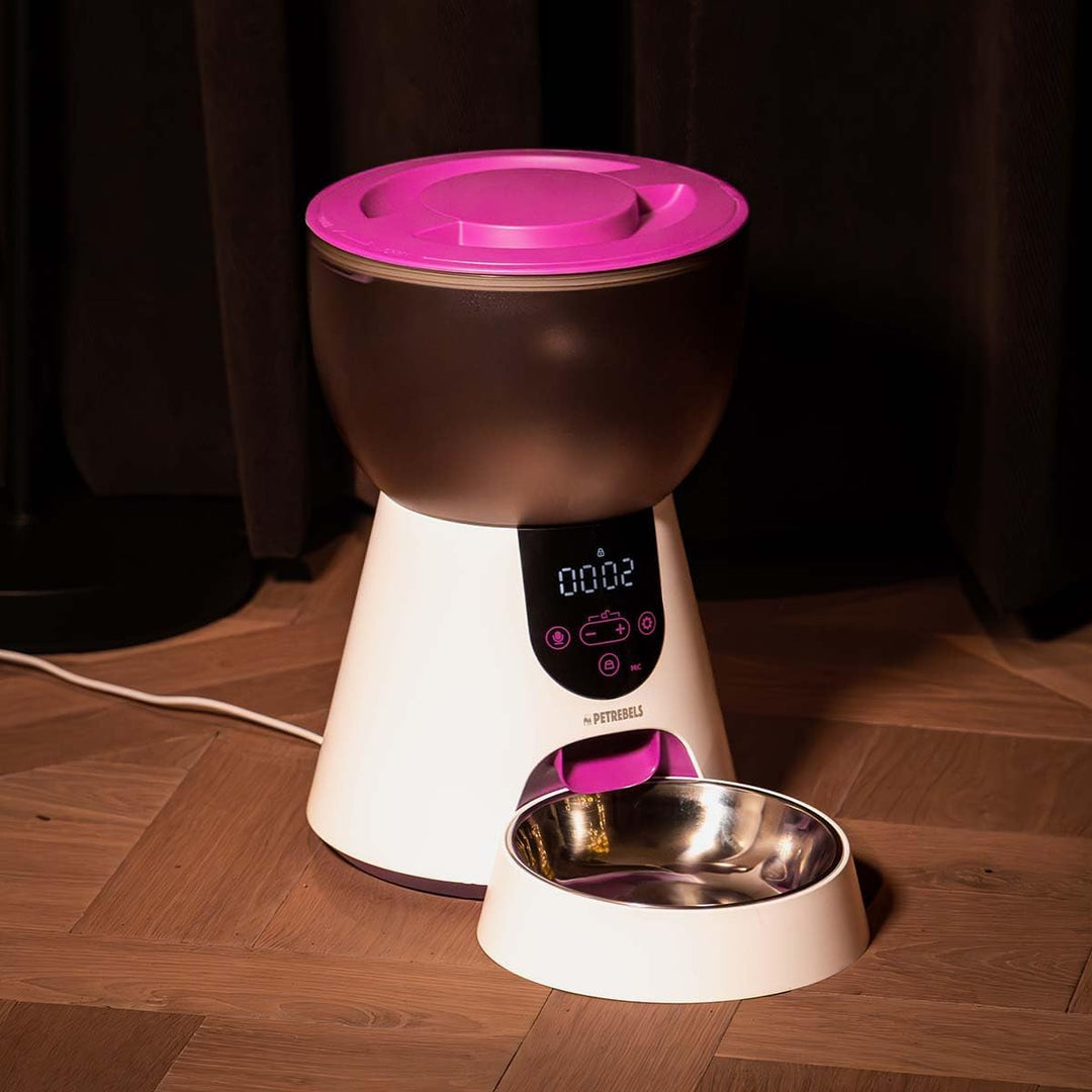 Petrebels Futterautomat Katze, Programmierbar, Mit Sprachaufnahme, 4 Liter, Touchscreen, Food-Expres