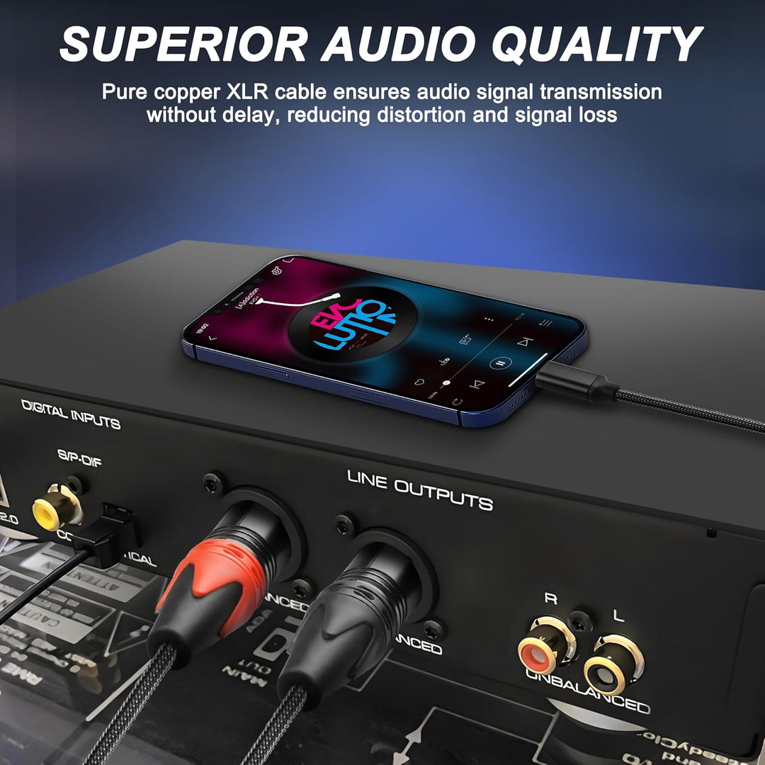 XMSJSIY USB C auf Dual XLR Mikrofonkabel Typ C Stecker auf XLR Stecker Stereo Verstärker Kabel Audio
