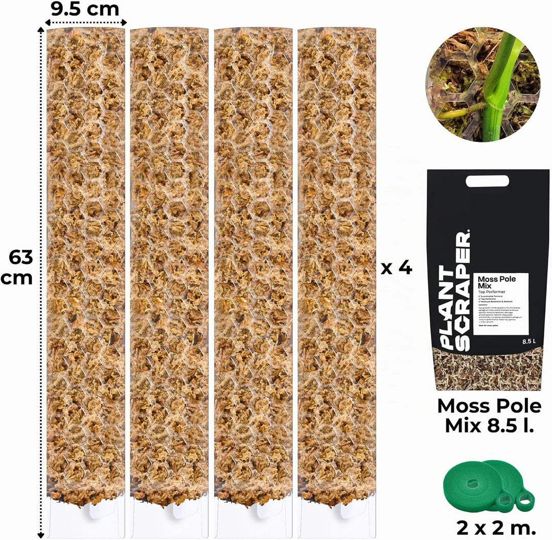 XL Moosstab für Monstera 4 Stück 63 x 9.5 cm - Erweiterbare Rankhilfe &amp; Zubehör-Set - Pflanzstäbe mi