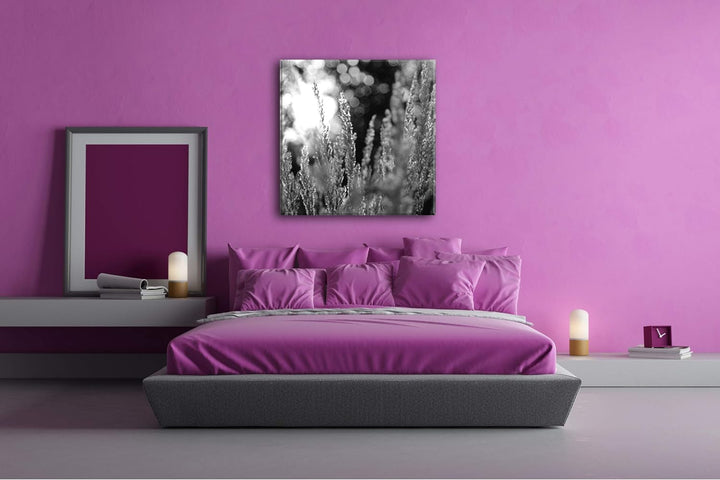 deyoli Weidengräser bei Morgendämmerung Format: 70x70 Effekt: Schwarz&Weiss als Leinwandbild, Motiv