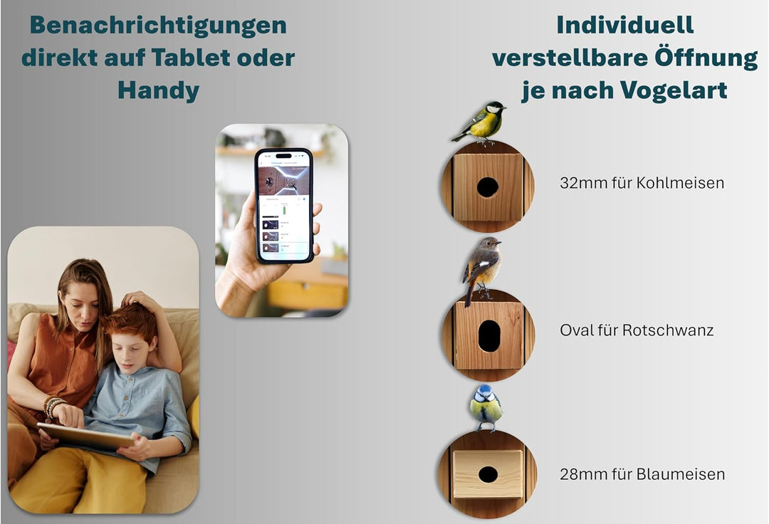 Hochwertiger Nistkasten inklusive Kamera | Live Stream | PEFC® zertifiziertes Massivholz | Brutkaste