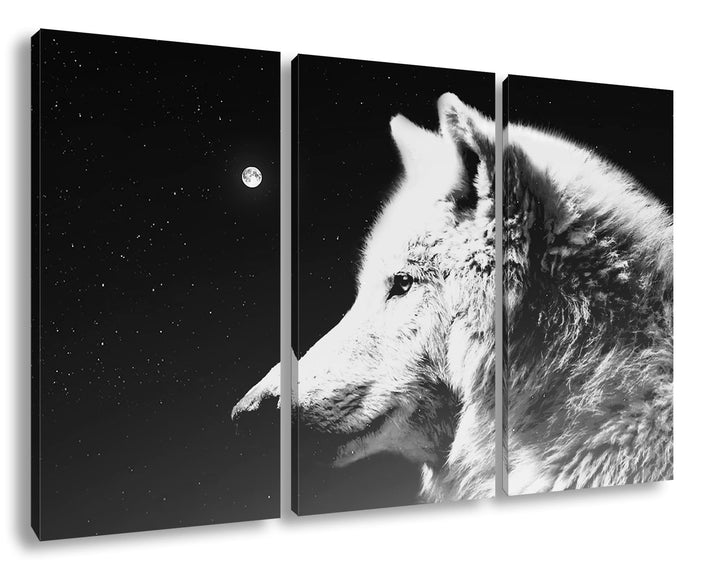 deyoli einsamer stolzer Wolf Format: 3Teilig Effekt: Schwarz&Weiss als Leinwandbild, Motiv fertig ge