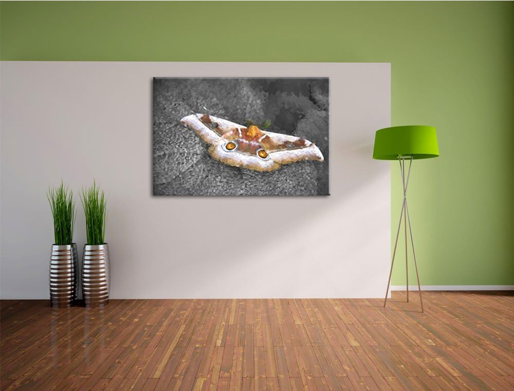 eleganter Schmetterling auf Blatt schwarz/weiss Deluxe Format: 100x70 cm auf Leinwand, XXL riesige B