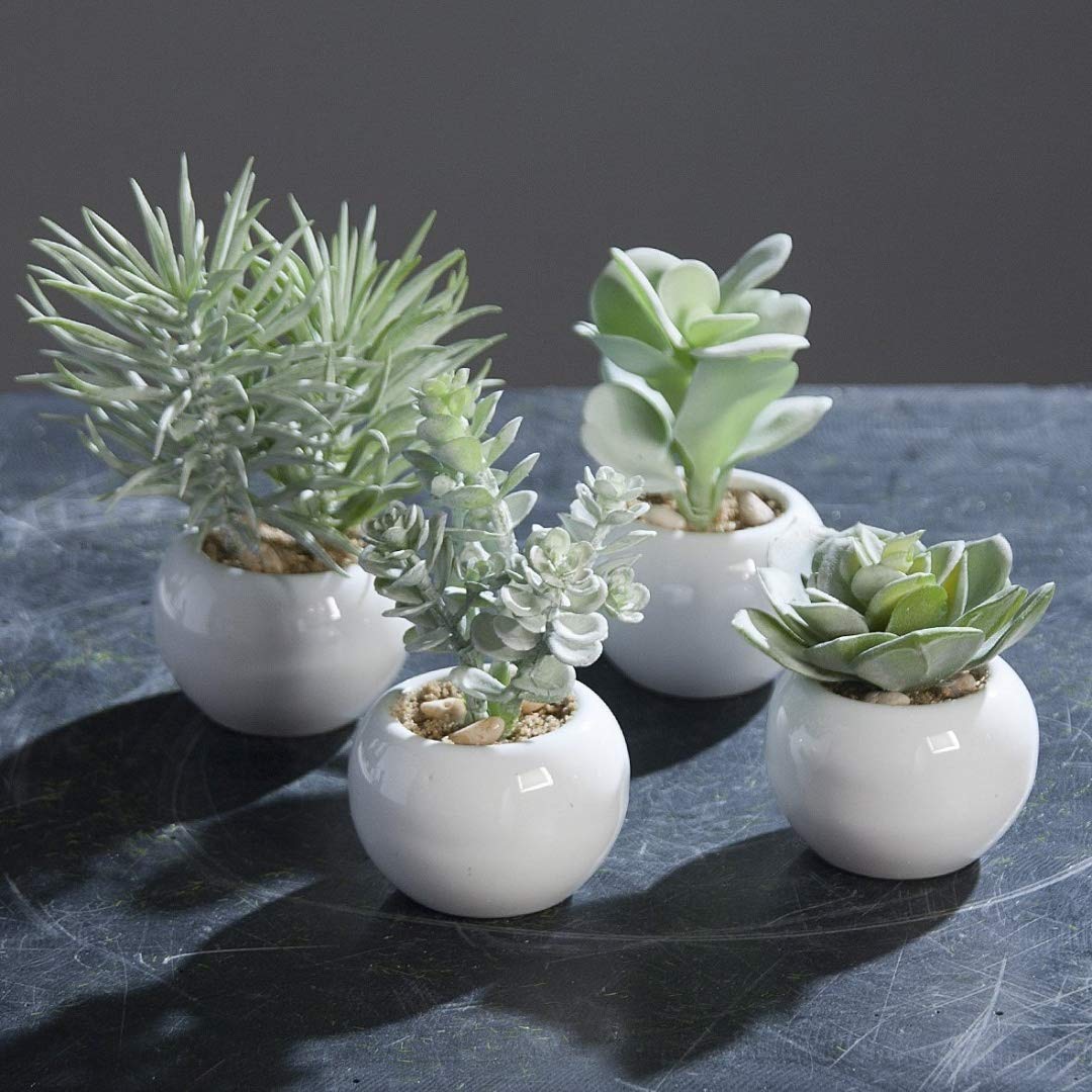 Set Kakteen Sukkulenten "Powder" Kaktus Kunstpflanze, 8 - 14 cm, 4-fach sortiert