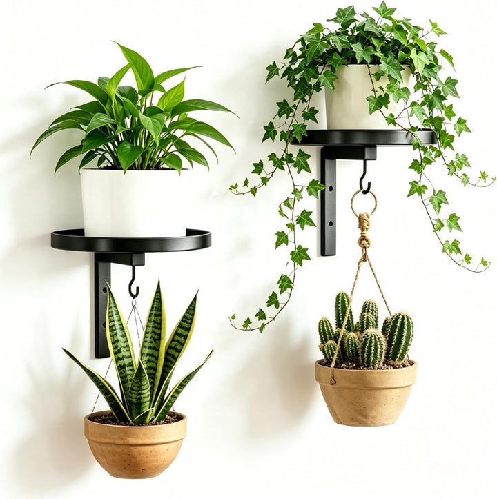 Wandbehang Pflanzenständer, 2 Stück Blumenständer Wandmontage Set Pflanzenregal aus Metall mit Haken