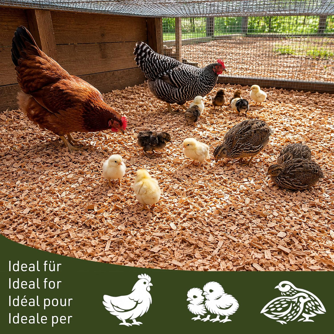 PINI Buchenhack 5 kg staubfreie hygienische Einstreu mittel für Küken Hühner Wachteln Stall hohe Sau
