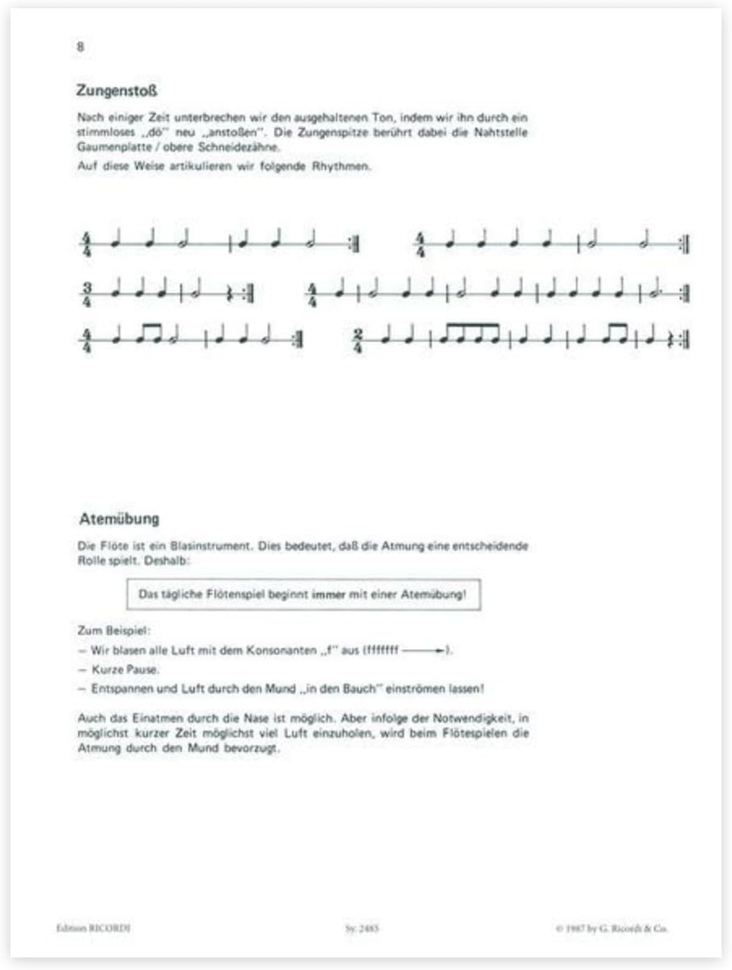 Lern Querflöte spielen - Band 1 - mit NOTENBLEISTIFT - ISBN: 9783931788391