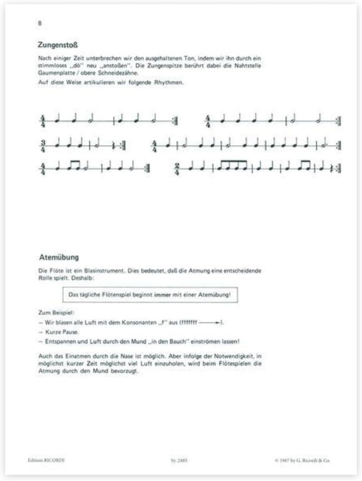 Lern Querflöte spielen - Band 1 - mit NOTENBLEISTIFT - ISBN: 9783931788391