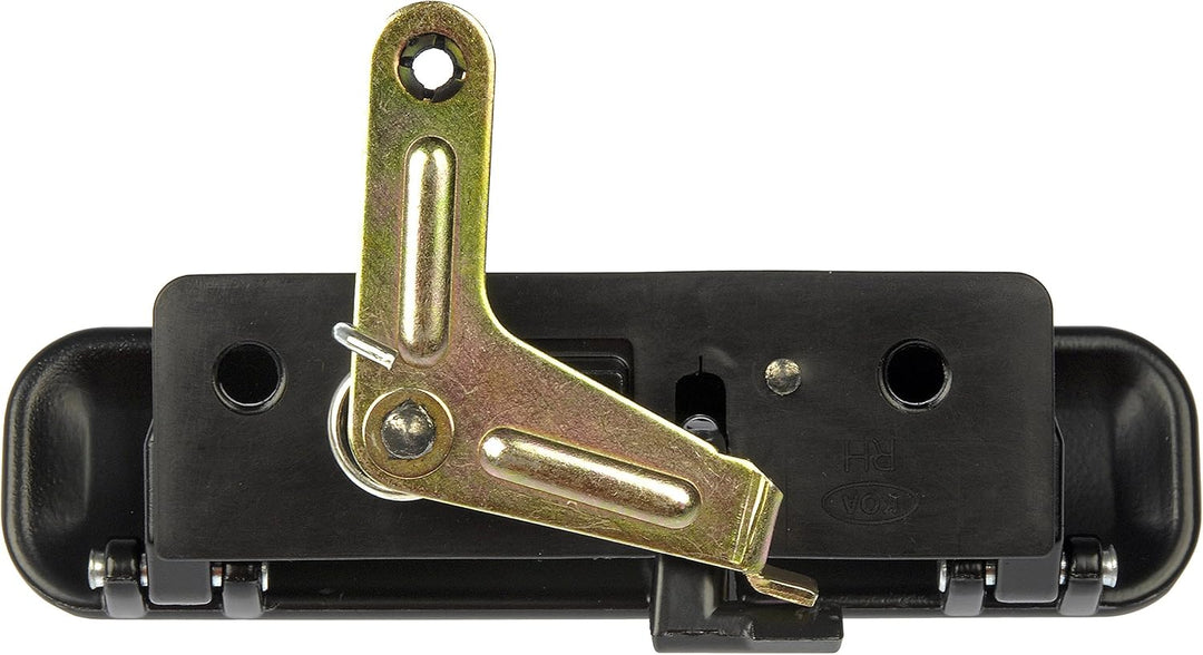Dorman 77139 Türgriff vorne Beifahrerseite kompatibel mit ausgewählten Ford Modellen, glatt schwarz