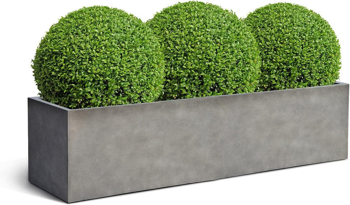 ESCHBACH® Pflanzkübel Box 80 II Beton Grau Rechteckig * 80 x 20 x 20 cm * 10 Jahre Garantie 80x20x20
