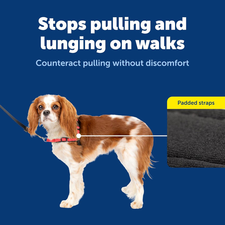 PetSafe Deluxe Easy Walk Hundegeschirr