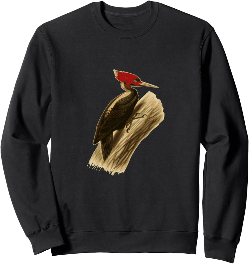 Specht Vogel Sweatshirt