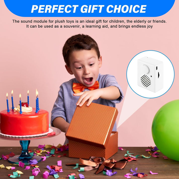 2 Stück Diktiergerät Für Stofftiere, Sprachmodul Für Kuscheltiere, Soundmodul Für Teddybär, Sprachmo