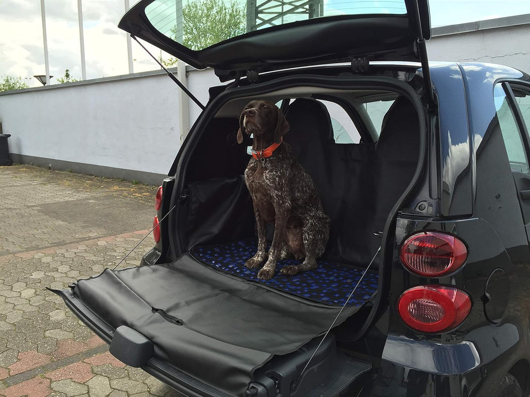 MisterDotCom Kofferraumabdeckung Hundeschutzdecke Hundeschutz smart fortwo 451 neues Modell 2007-201