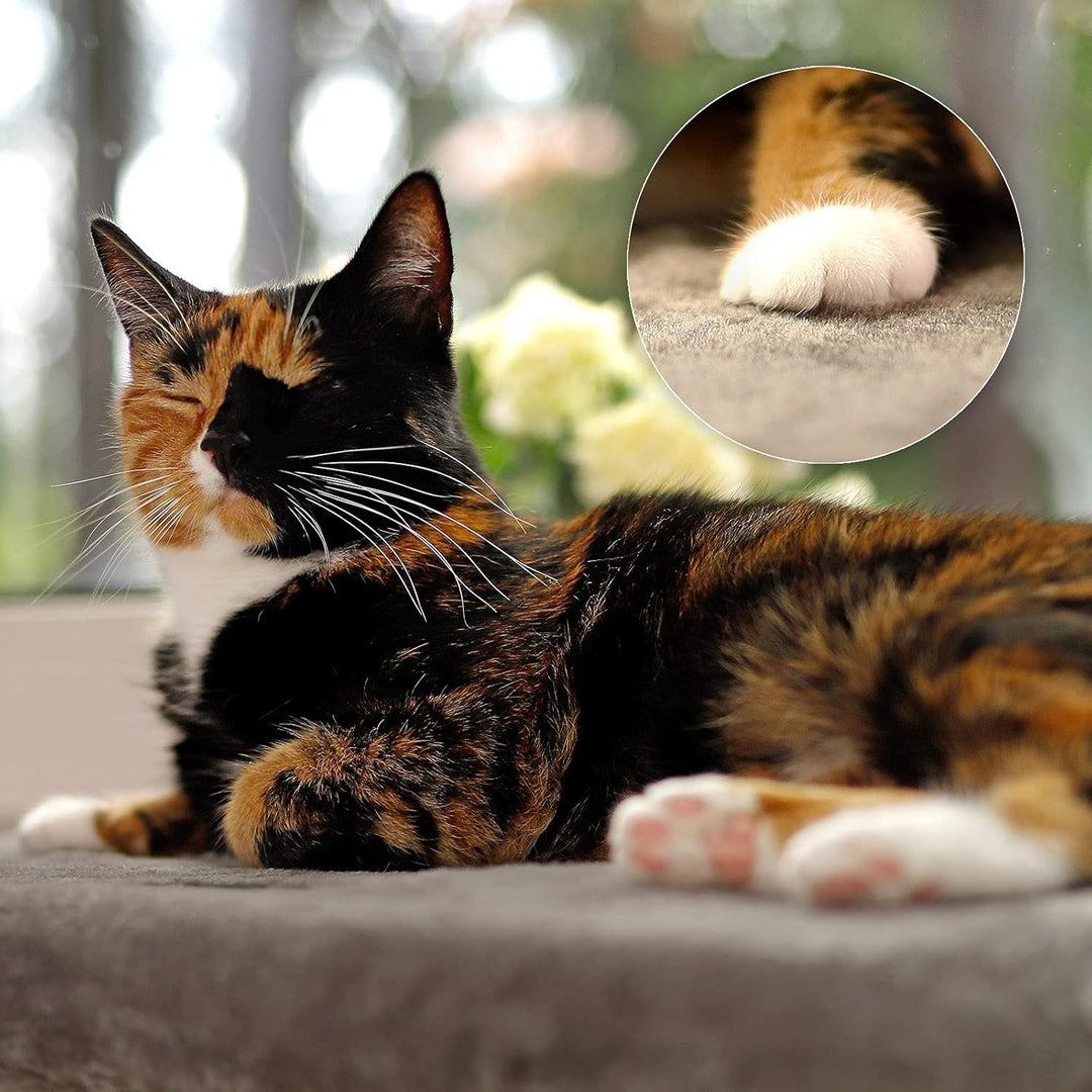 lionto Fensterliege für Katzen gepolstert aus Plüsch, 35x50 cm, Katzenbett für Fensterbänke, Montage