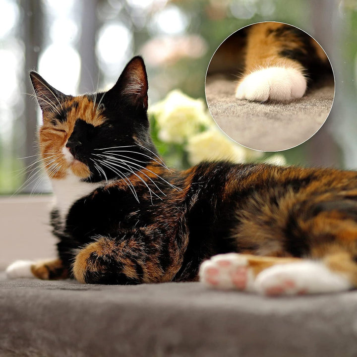 lionto Fensterliege für Katzen gepolstert aus Plüsch, 35x50 cm, Katzenbett für Fensterbänke, Montage