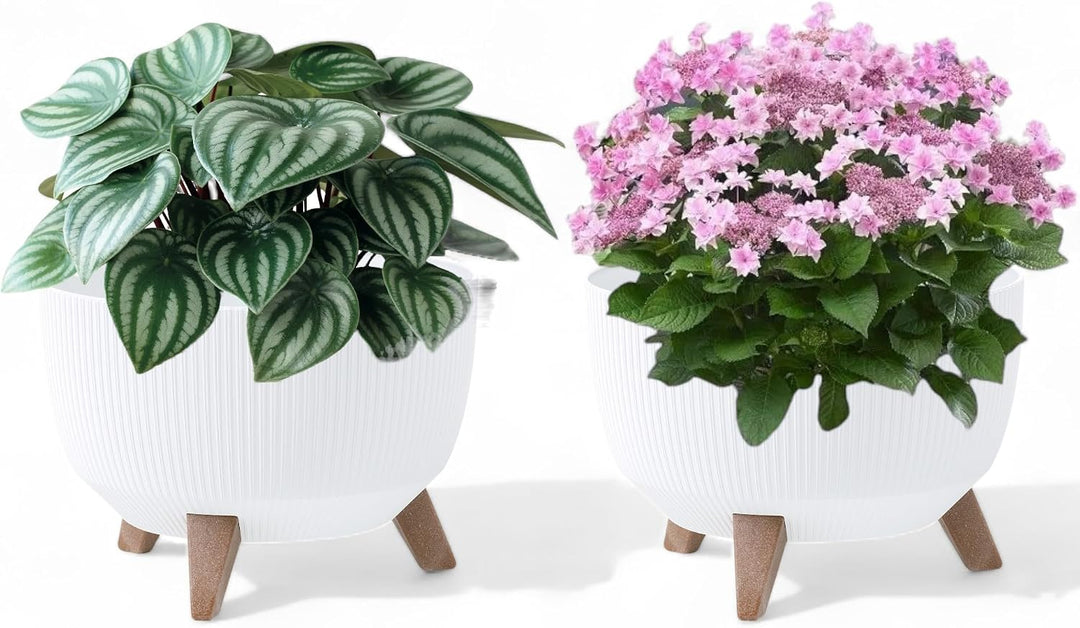 MELTOM Blumentopf Schale mit Füssen Einsatz Kräutertopf Übertopf Pflanzschale Eco Recycled (Weiss, M