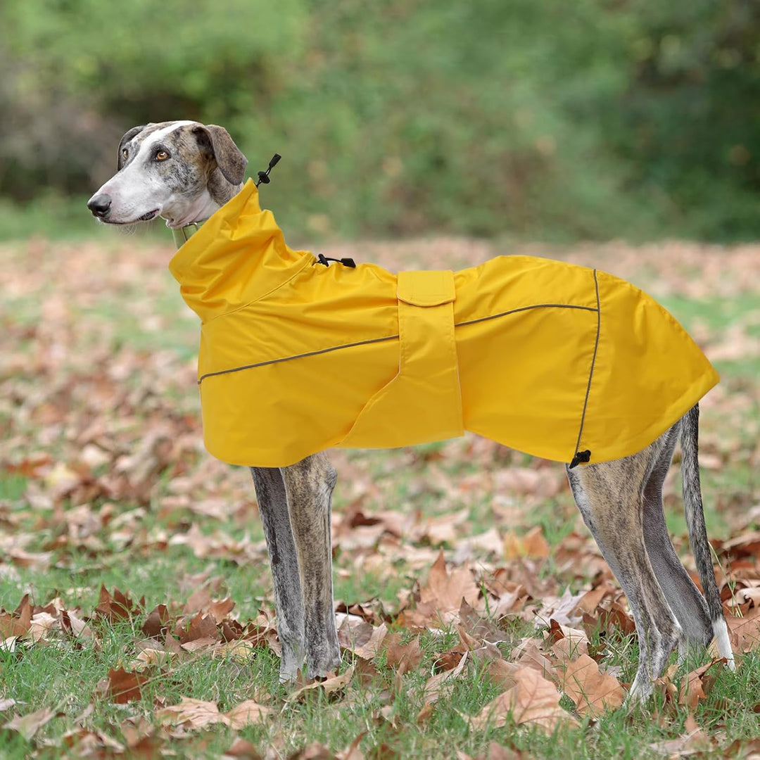 MOREZI Windhund-Regenmantel, regenfest/wasserdicht, hoher Bund mit verstellbarem Kordelzug und Hüftg