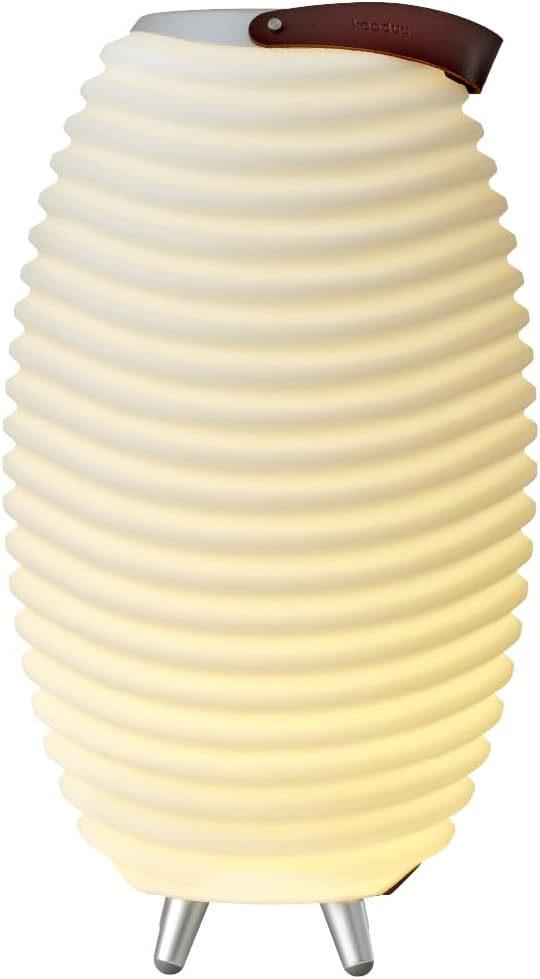 Kooduu Synergy 50 - Bluetooth Lautsprecher mit Lampe - Weinkühler-Funktion | 2L Kühlfach - Dimmer mi