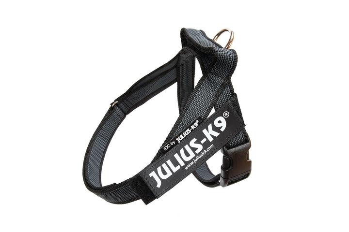 Julius-K9, Color & Gray, Beltgeschirr S / Mini schwarz-grau, S / Mini schwarz-grau