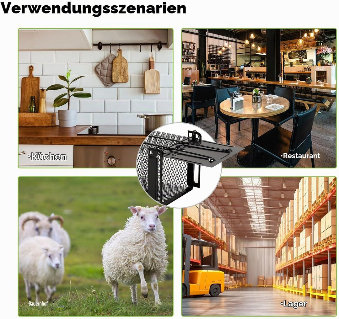 Lebendfalle Mausefalle, XXL Premium Rattenfalle Hochsensitive Mäuse-Futterfalle, Tierfreundlich &amp; Wi