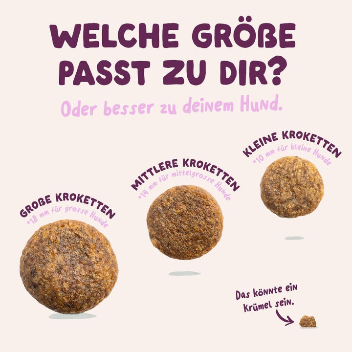 Edgard & Cooper natürliches Premium Trockenfutter für Adult Hunde - getreidefrei und proteinreich (H