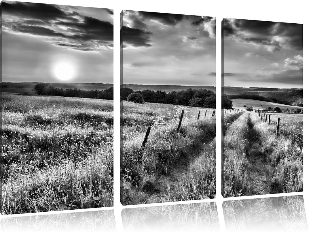 Pixxprint Bergwiese im Sonnenaufgang als Leinwandbild/Grösse: 3 Teilig (120x80) cm/Wandbild/Kunstdru