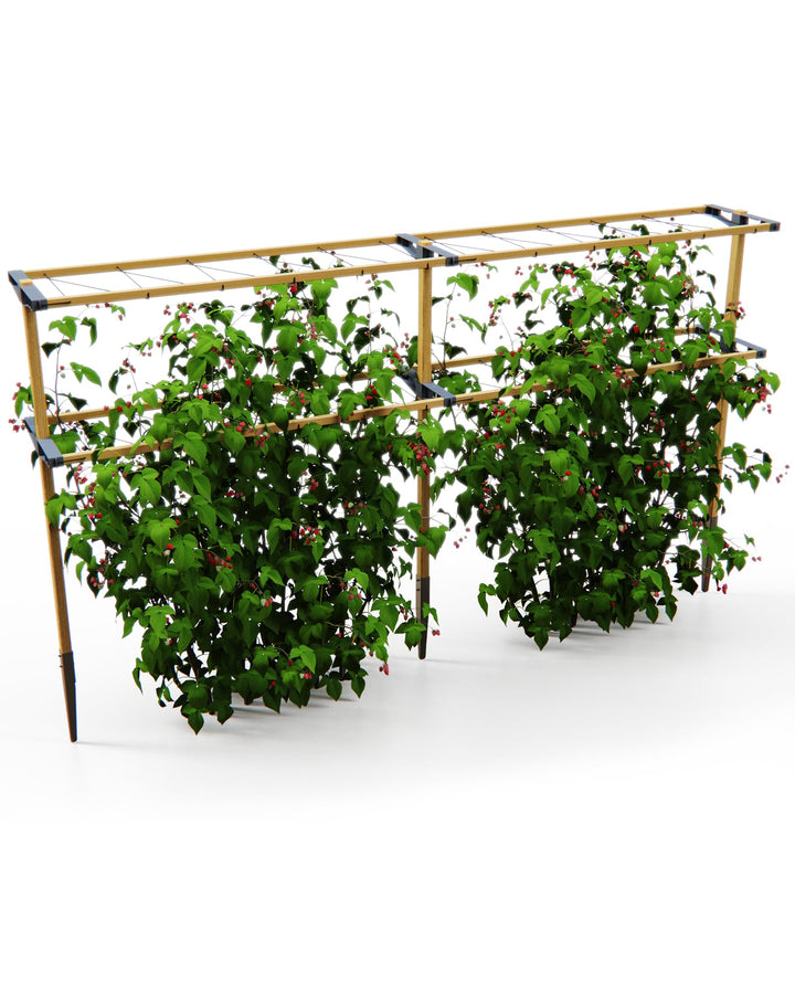 Gusta Garden Berry Buddy - Flexible Rankhilfe für Beeren: Himbeeren, Brombeeren & Heidelbeeren, erwe