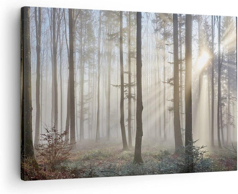 Bilder auf Leinwand Wald Baum Natur Leinwandbild mit Rahmen 70x50cm Wandbilder Dekoration Wohnzimmer