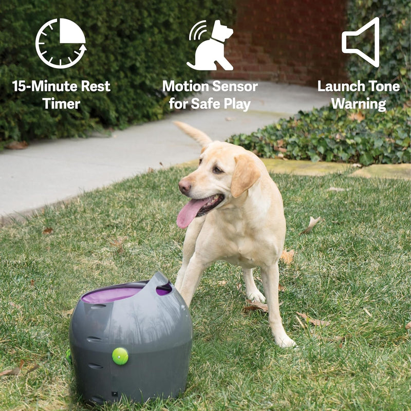 PetSafe Automatisches Hundespielzeug, interaktiver Tennisballwerfer für Hunde, wasserdicht, 1 Stück