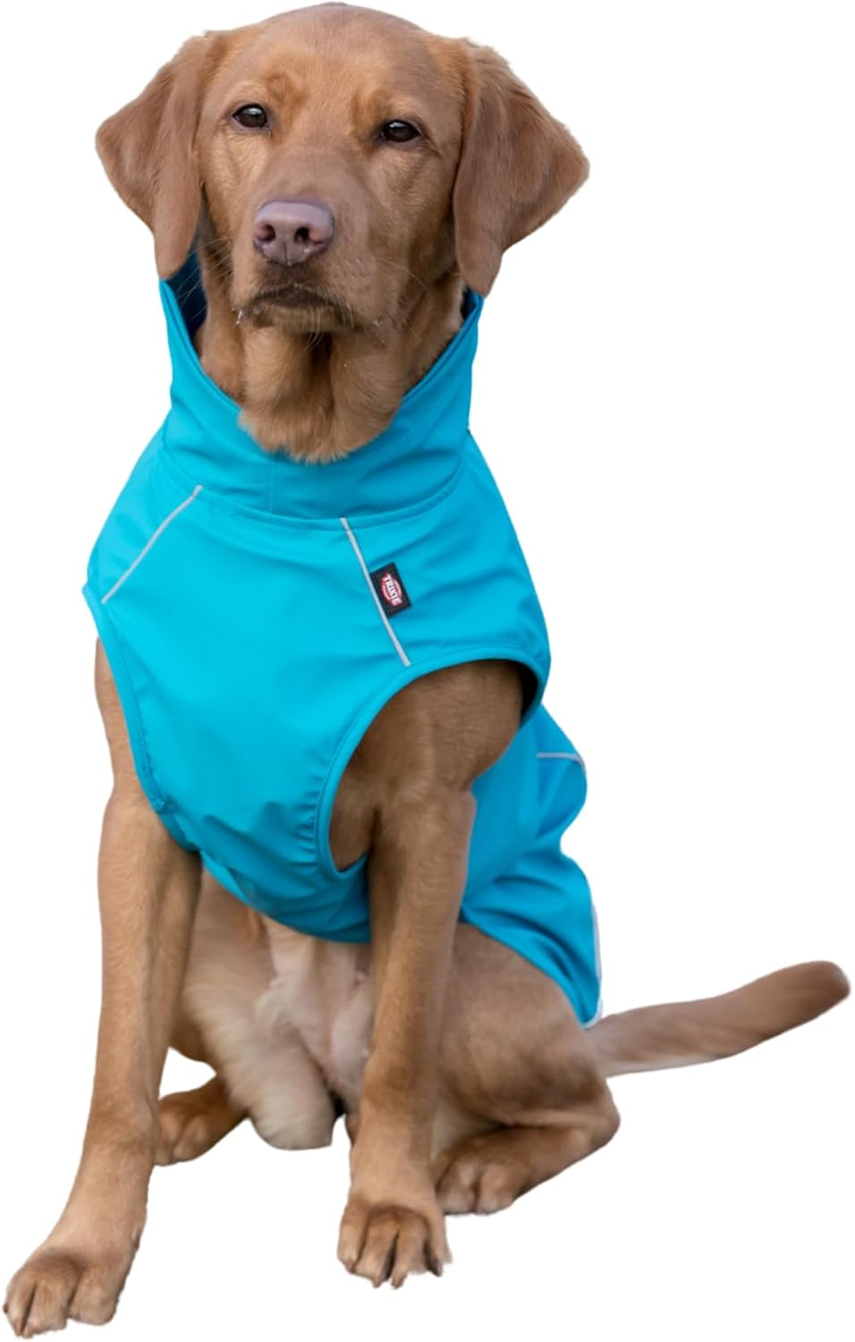 TRIXIE Regenmantel Vimy für Hunde XS türkis – Hunde-Regenjacke mit reflektierenden Elementen für meh