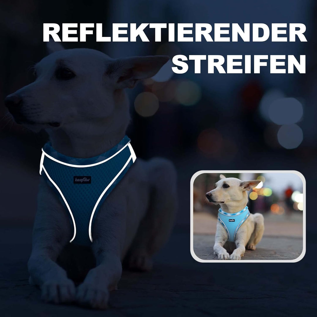haapaw Hundegeschirr und Leine Set, kein Ziehen, verstellbares, reflektierendes Step-in-Welpengeschi