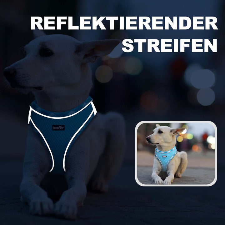 haapaw Hundegeschirr und Leine Set, kein Ziehen, verstellbares, reflektierendes Step-in-Welpengeschi