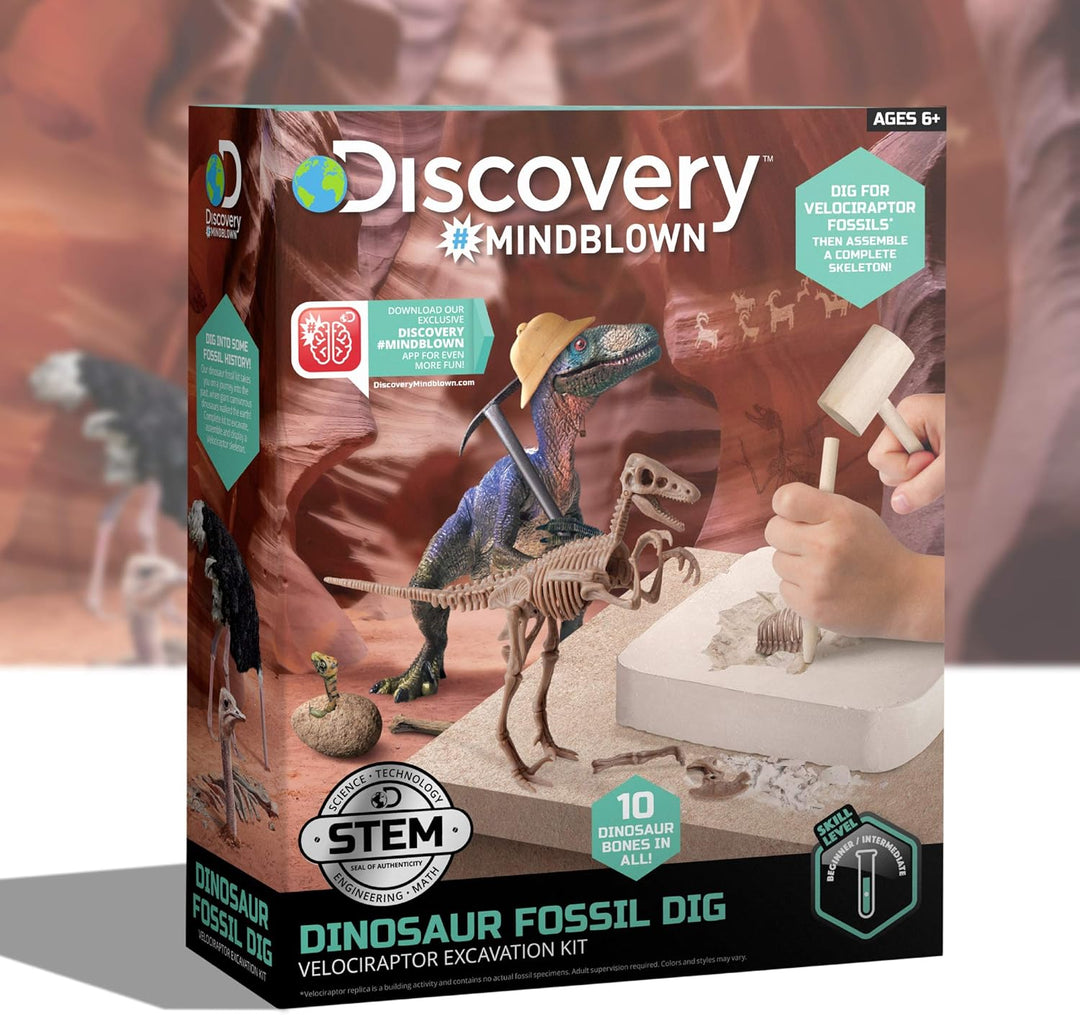 Discovery #Mindblown 1423004881 - Dinosaur Fossil Dig Velociraptor - Ausgrabungsset Dinosaurier - fü