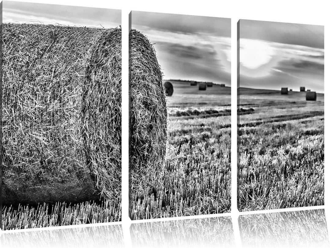 Pixxprint Monocrome, Strohballen auf Feld 3-Teiler Leinwandbild 120x80 Bild auf Leinwand