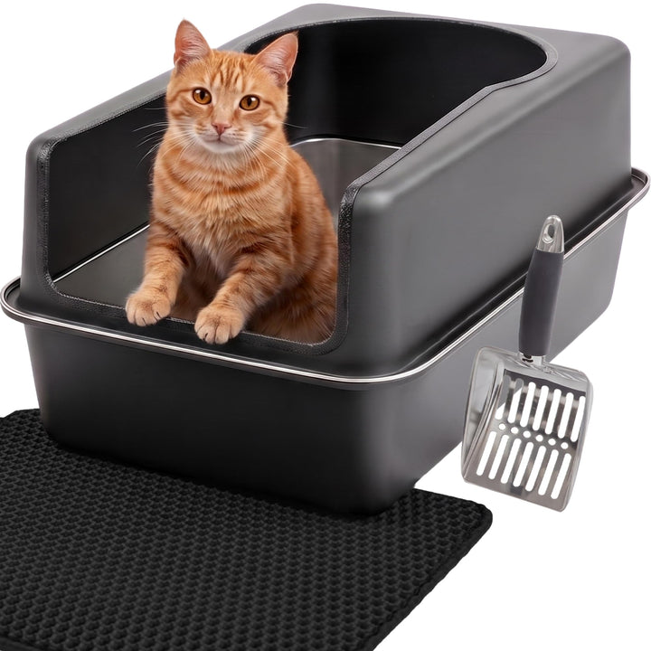 Katzenklo Edelstahl XXL Matt Schwarz – Leicht zu reinigen, geruchsresistent – Katzentoilette mit hoh