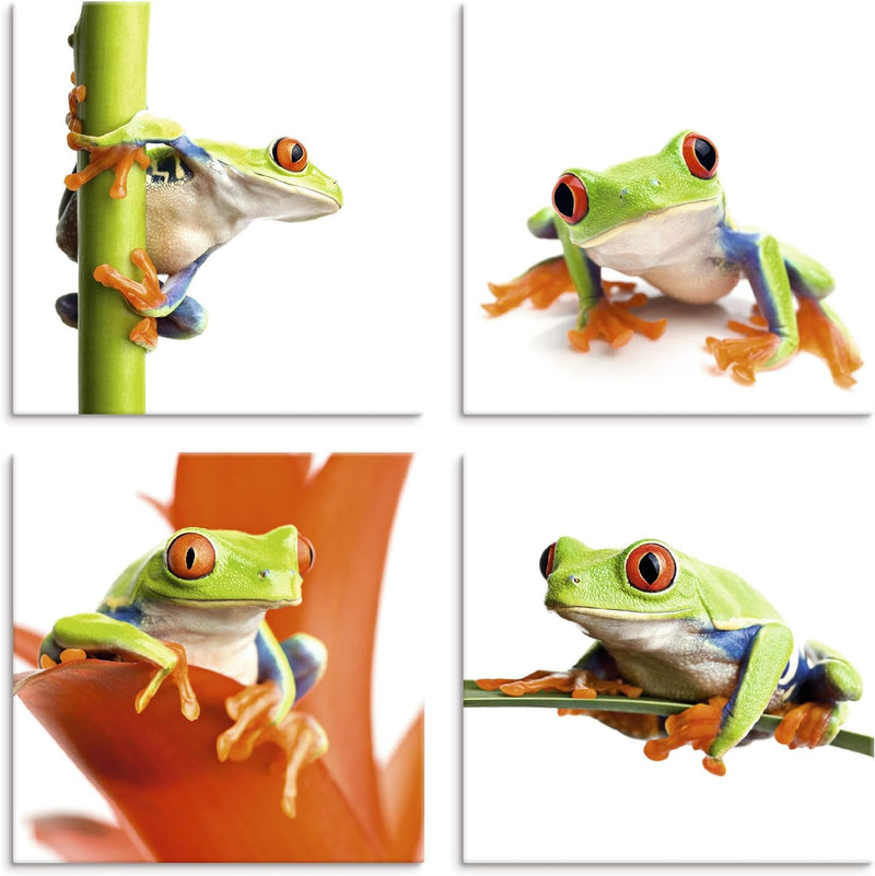 ARTLAND Leinwandbilder auf Holz Wandbild Bild Set 4 teilig je 40x40 cm Natur Tiere Frosch Laubfrosch