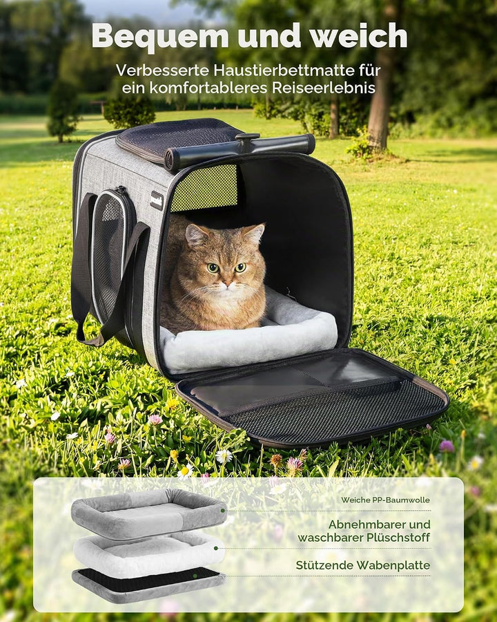 Pecute Transportbox Katze,Katzen Transportboxen mit Haustiernest, Faltbare Katzentasche Transporttas