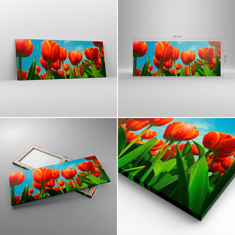 Panorama Bilder auf Leinwand 100x40cm Leinwandbild Tulpe Blume blauer Himmel Gross Wanddeko Bild Sch