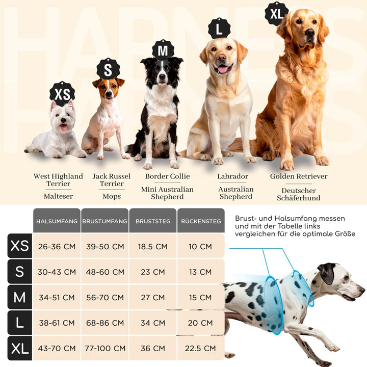 FREUDENTIER Hundegeschirr mit Griff, atmungsaktiv gepolstert - Bombenfester Sitz & maximale Sicherhe