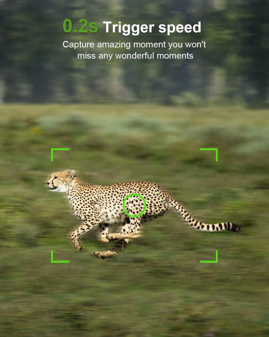 Wildkamera WLAN mit Handyübertragung App 24MP/1296P, WiFi Bluetooth Wildtierkamera mit Nachtsicht Be